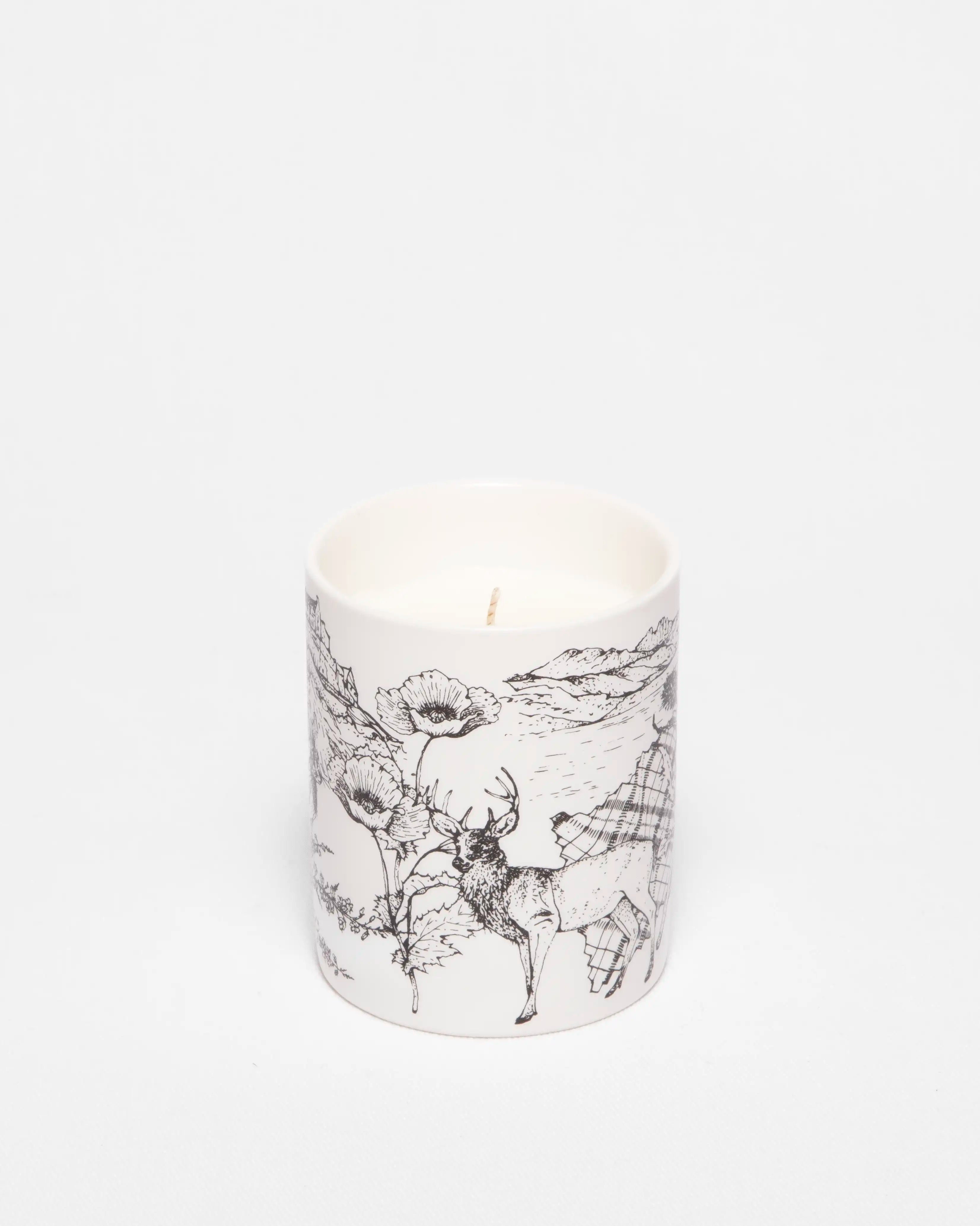 Told, Highland Retreat, Scotland Candle, 80g