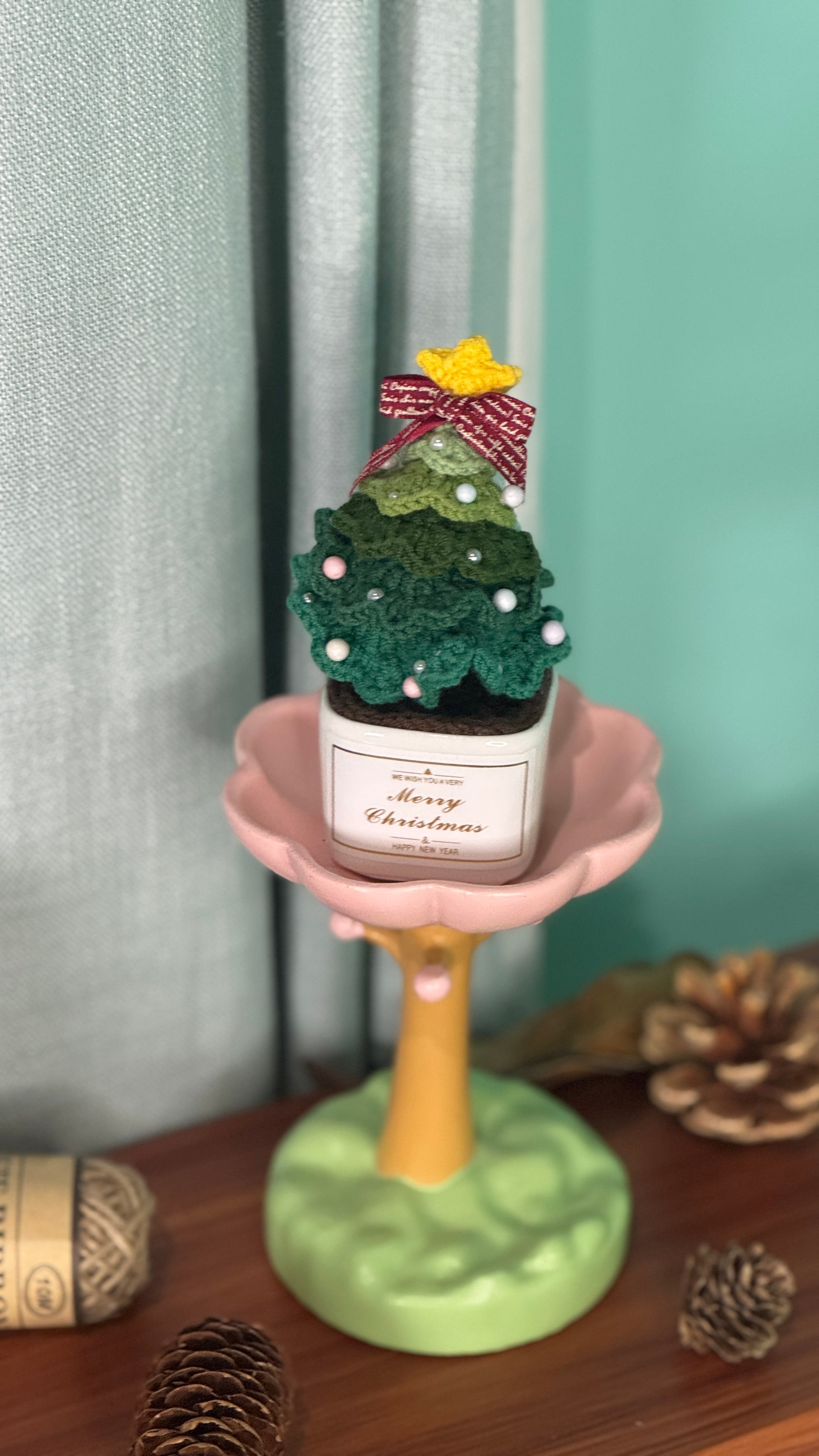 Tranquil Succulent Garden Collection