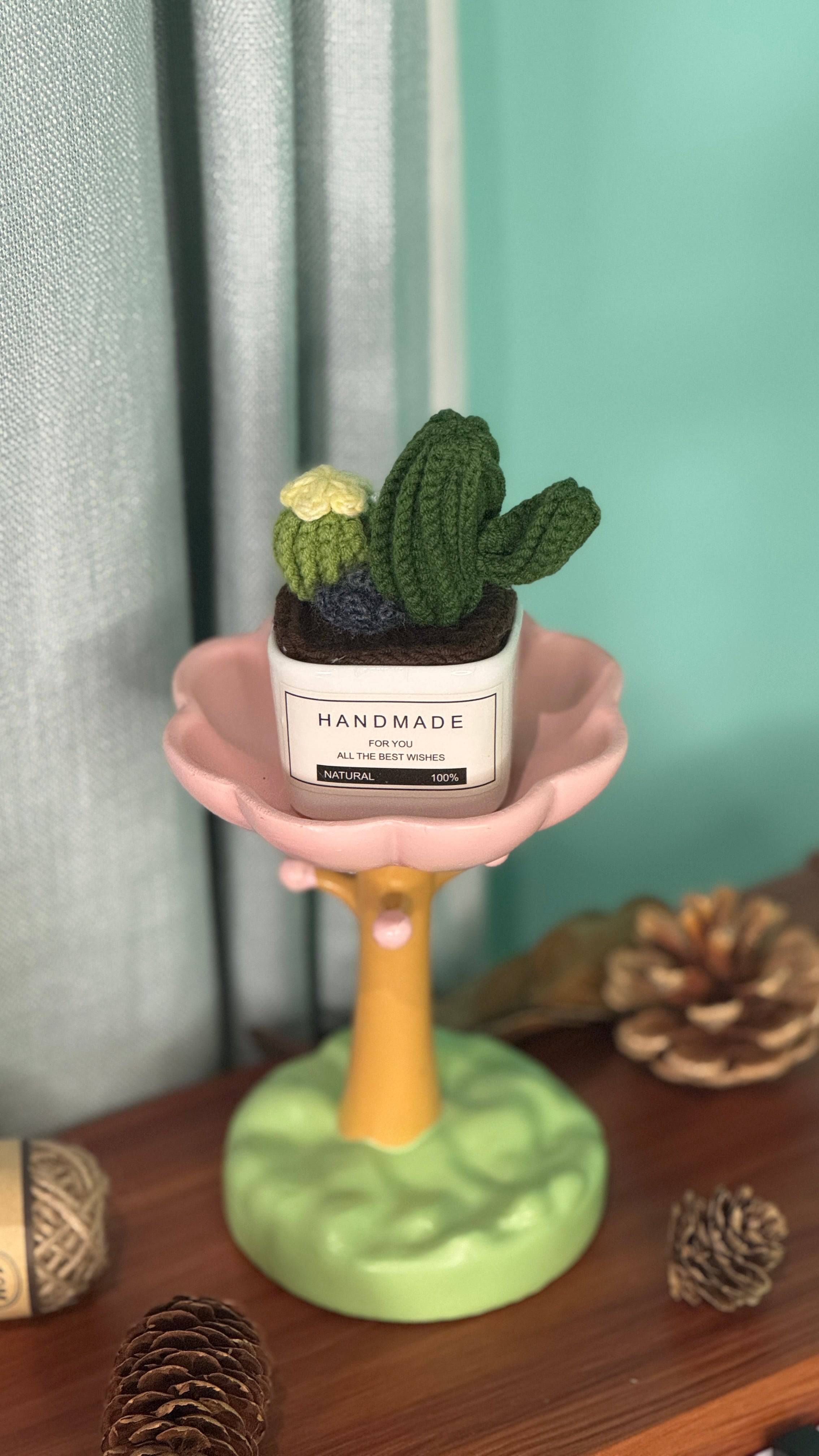 Tranquil Succulent Garden Collection
