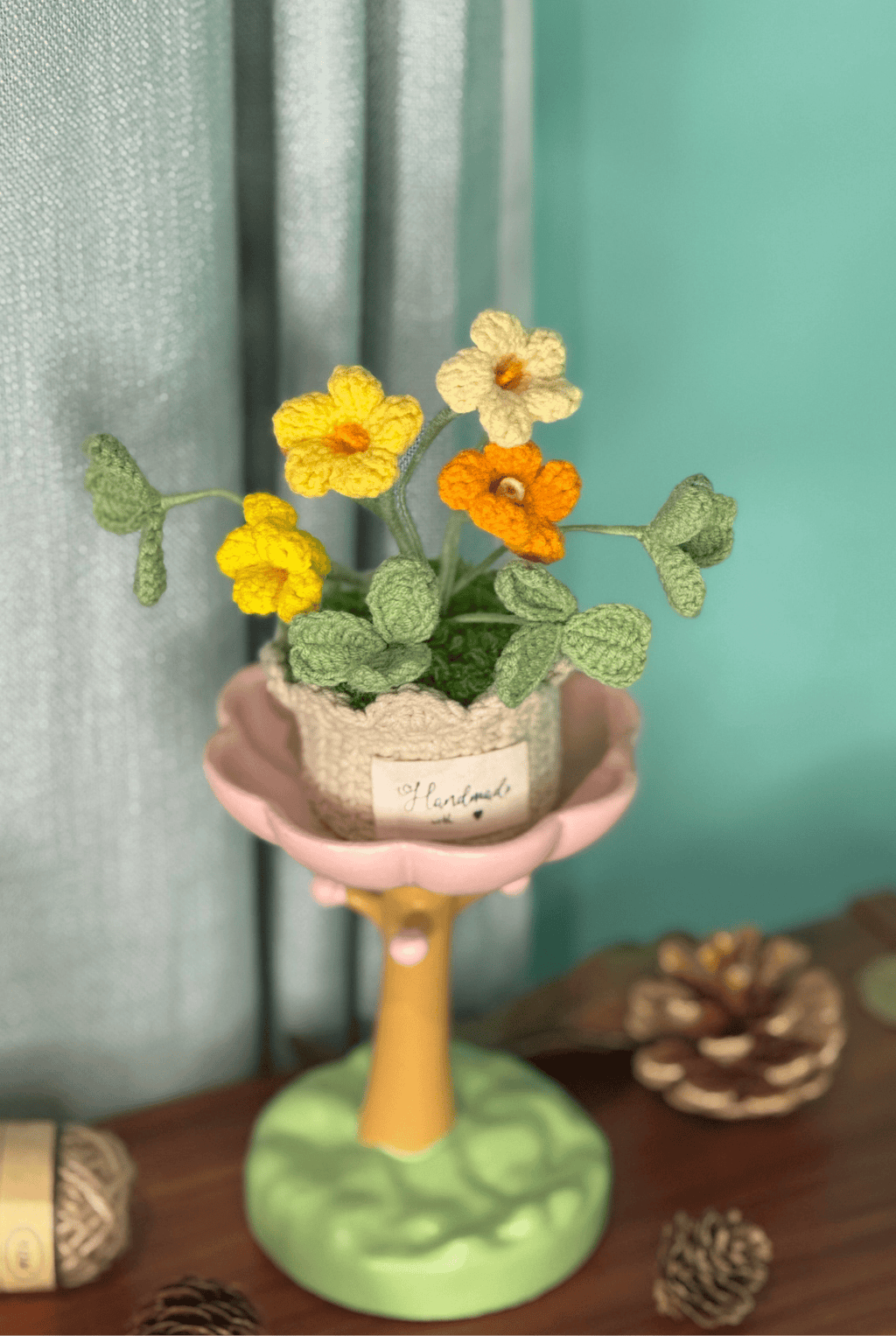 XXL Pot Plants : Larger the size, Bigger the smile