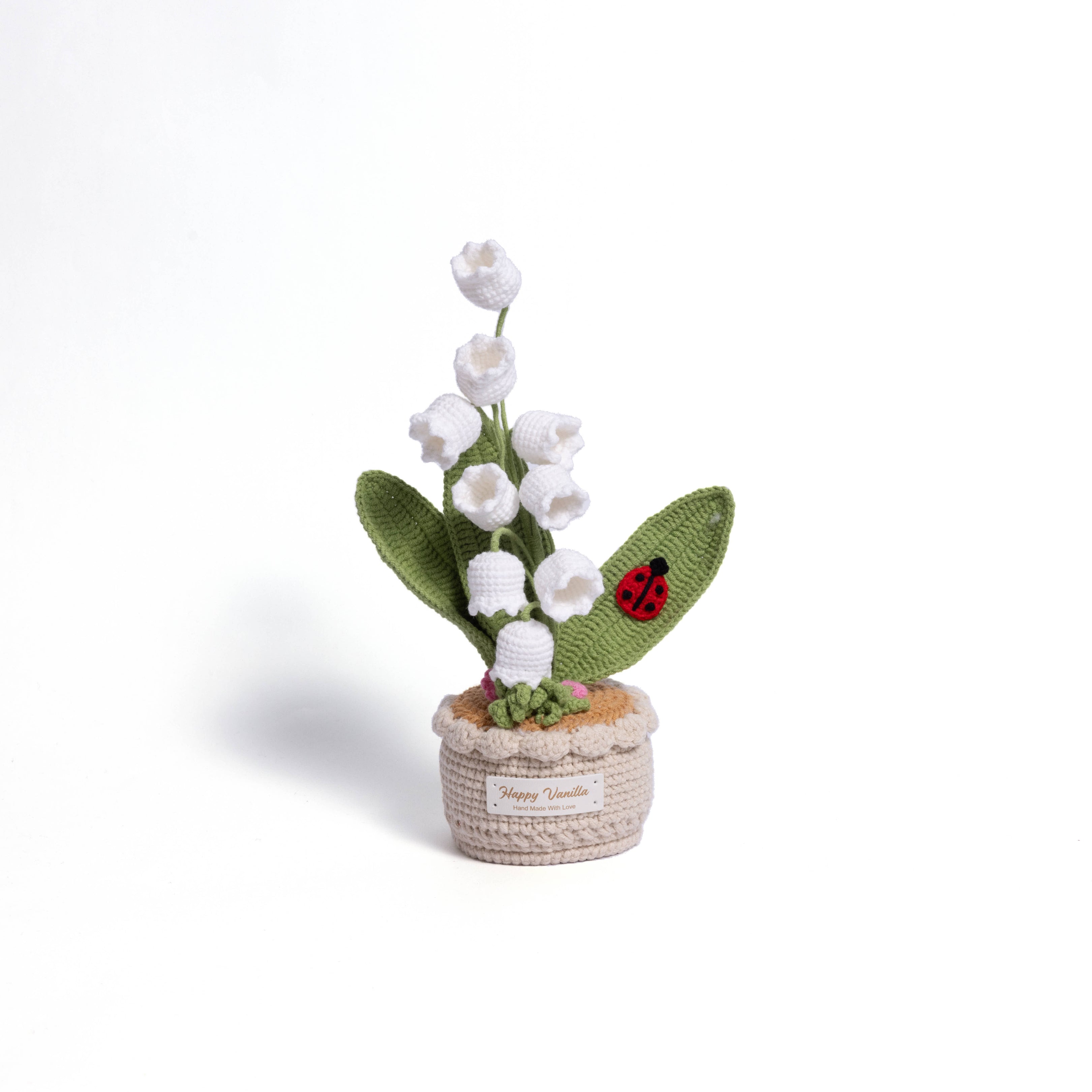 XXL Pot Plants : Larger the size, Bigger the smile